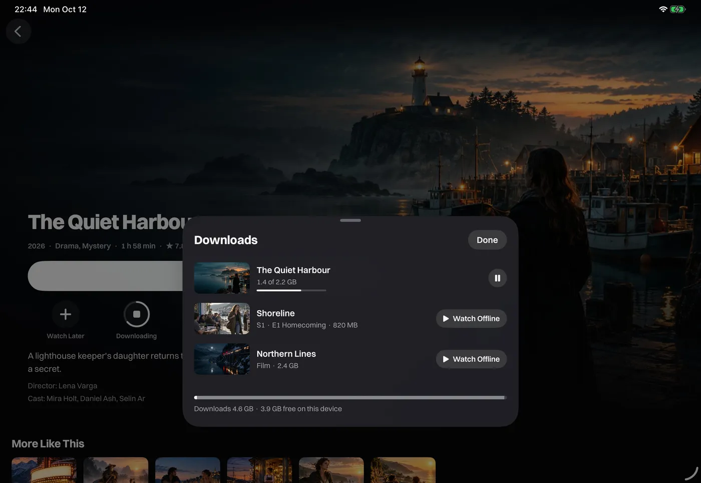 Downloaded movies and episodes, ready to watch offline